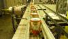 /ext/galleries/sustainable-plant-of-the-year-gallery/full/P1010246-615x350.jpg