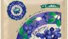 /ext/galleries/sustainable-plant-of-the-year-gallery/full/Stahlbush_Blueberries.jpg