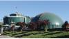 /ext/galleries/sustainable-plant-of-the-year-gallery/full/fex1112spoy5.jpg