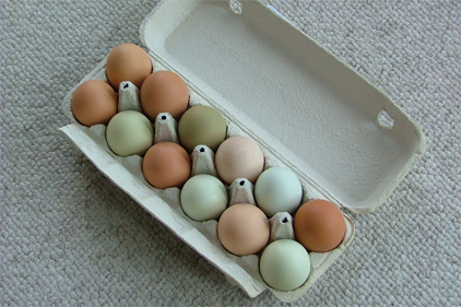 CA egg producers waiting for Farm Bill rule