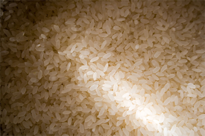 FDA says arsenic levels in rice are safe