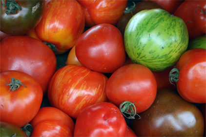 Mexican growers reach tomato import agreement