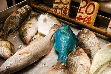 Up to 32 percent of seafood caught illegally
