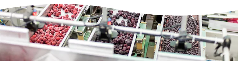 Fabulous Food Plants