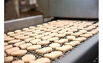 Chicken Nuggets Production Conveyor Belt