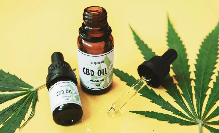 Pet wellness brand launches CBD tincture