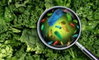 FDA issues improvement plan focused on updating foodborne illness outbreak responses
