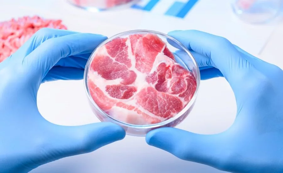 JBS takes on cultivated meat market with acquisition