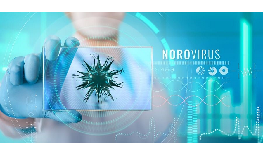 Norovirus for web.png