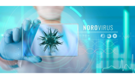 Slovenia has norovirus outbreak from packaging