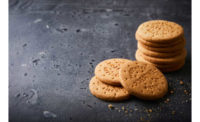 Yeast Biscuits International Patent Renaissance Bio