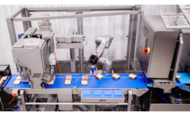Food Processing Robotics Grote