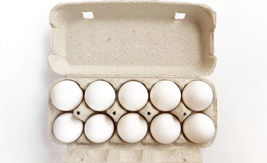 Tekni-Plex acquires Fibro Corp