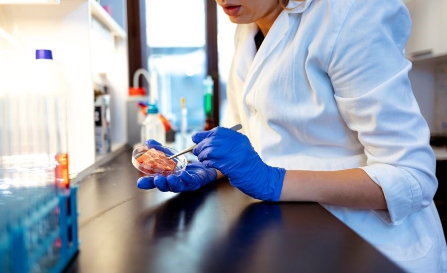 Chronisch Bij elkaar passen toenemen Bureau Veritas opens food safety and quality testing lab in Canada | Food  Engineering