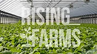 Transparent Rising Farms logo onto of an image of inside one of its vertical farms