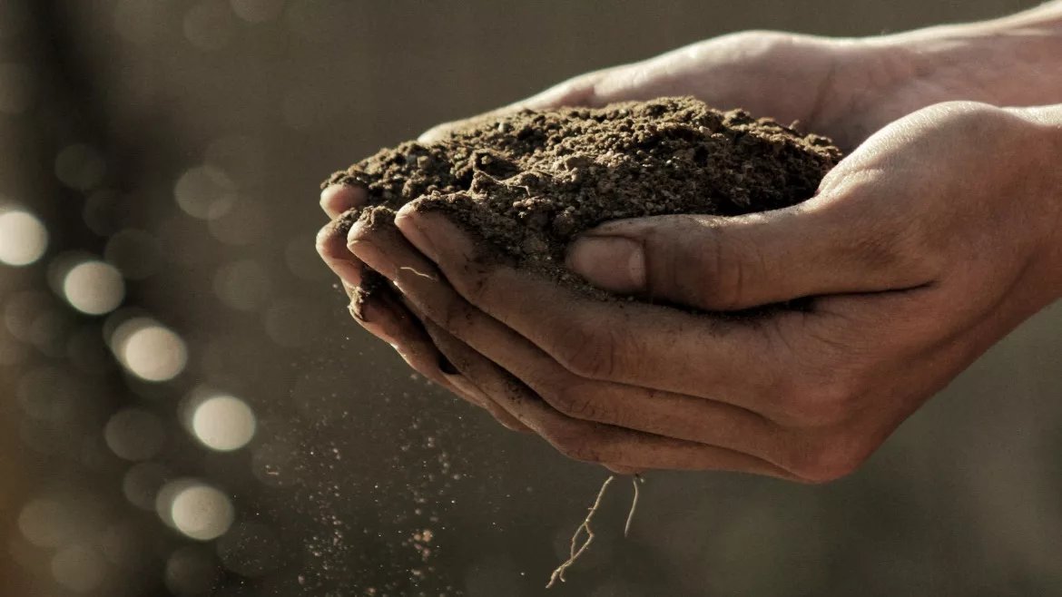 Image oh hands holding soil