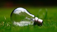 A lightbulb on grass. A lightbulb on grass.