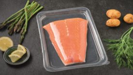 Image of a filleted fish in a plastic container with other ingredients surrounding it. 