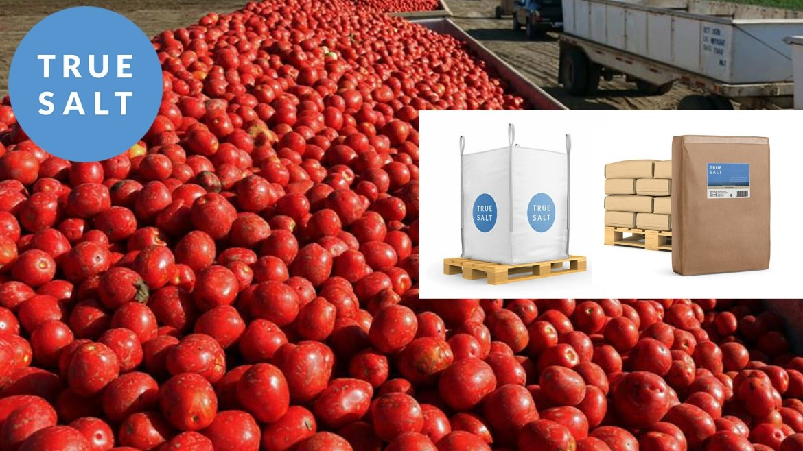 A large pile of tomatoes with True Salt's product and logo overlayed on top.