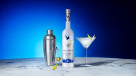 Grey Goose's classic martini cocktail kit