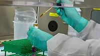 Someone testing a swab sample in a pair of lab gloves and a lab coat Someone testing a swab sample in a pair of lab gloves and a lab coat