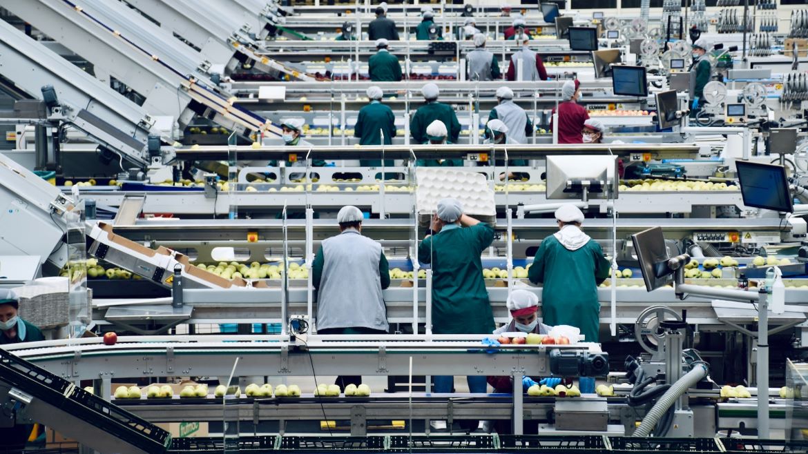 Image of multiple conveyor lines and people working the lines