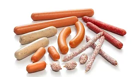 Various cased meat products on a white background