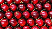 Photo of cherries aligned symmetrically on a tray Photo of cherries aligned symmetrically on a tray
