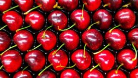 Photo of cherries aligned symmetrically on a tray