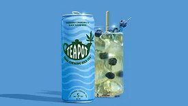 TeaPot's blueberry chamomile iced tea