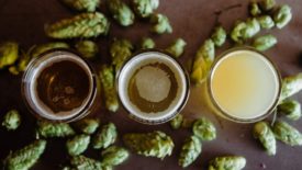 Image of three glasses of beer with hops around them
