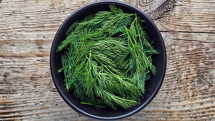 Ofi Opens New Herb Processing Facility - Vimarsana News