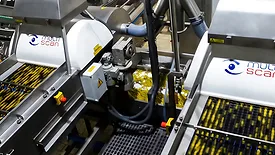 WECO and Multiscan's S30 optical sorter