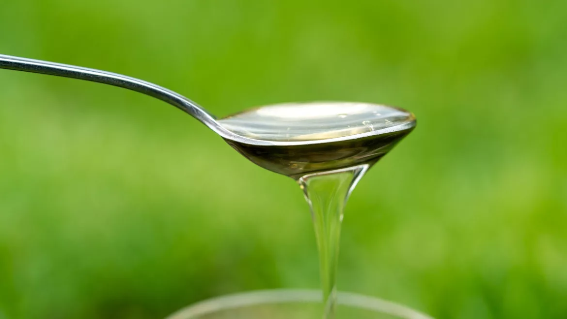 Chicory root fibers in food and drink products offers nutritional and health benefits