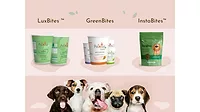 PawCo Foods launched its two newest plant-based dog food products. 