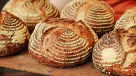 Boogie Lab has quickly gained acclaim across Europe for its unique approach to sourdough fermentation