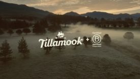 Tillamook B Corp logo