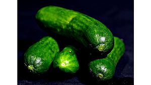 Cucumbers Cucumbers