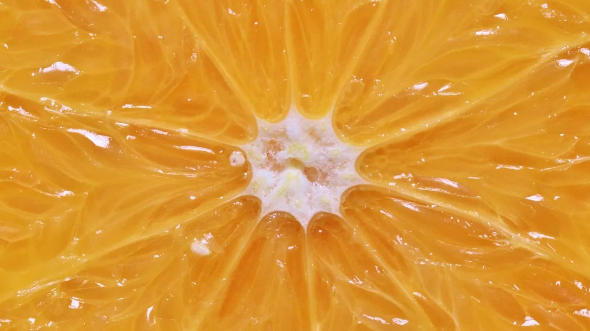 Orange slice close up