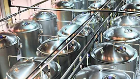 Fermentation processing