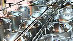 Fermentation processing Fermentation processing