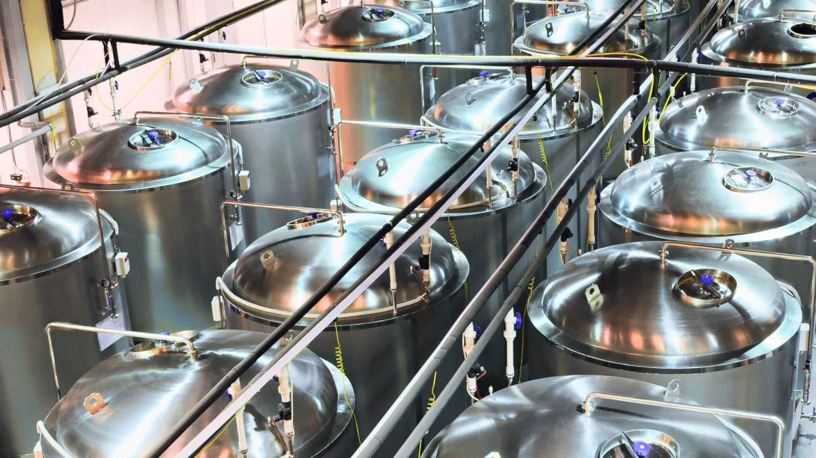 Fermentation processing Fermentation processing