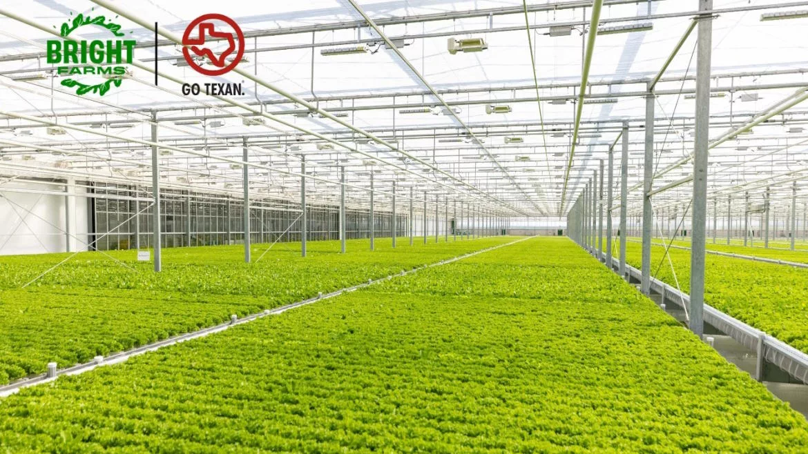 BrightFarms' greenhouse in Lorena, Texas