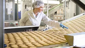 Factory Worker Inspecting Biscuits on Production Line