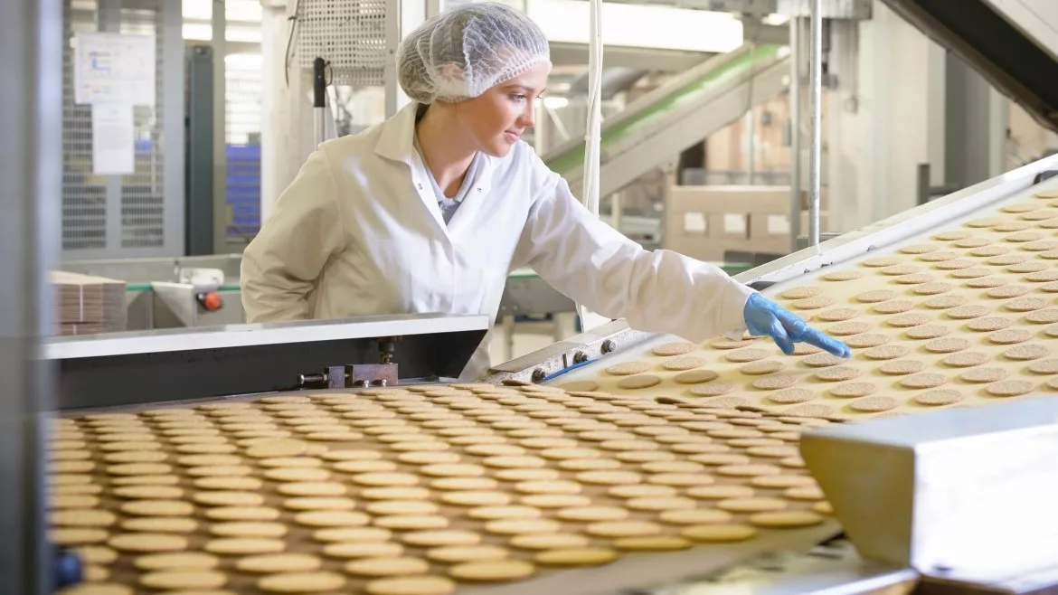 Factory Worker Inspecting Biscuits on Production Line