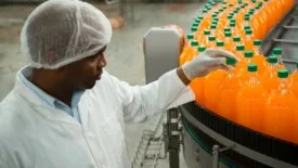 Worker examines bottling line