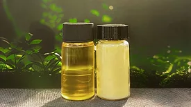 Terra Oleo palm oil and cocoa buter