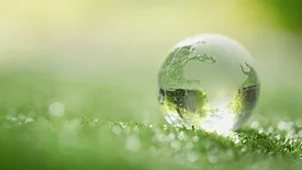 Globe on a grass floor