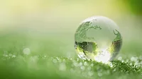 Sustainability Globe on a grass floor