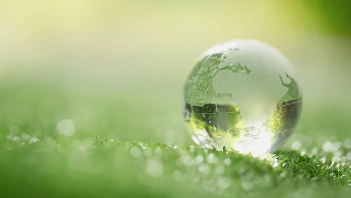 Globe on a grass floor